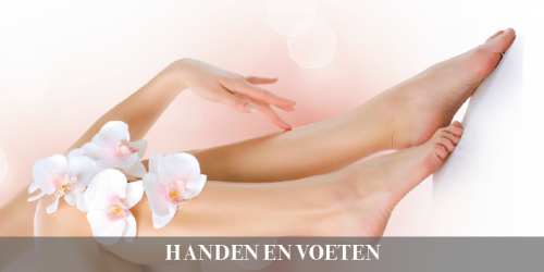 Handen & voeten